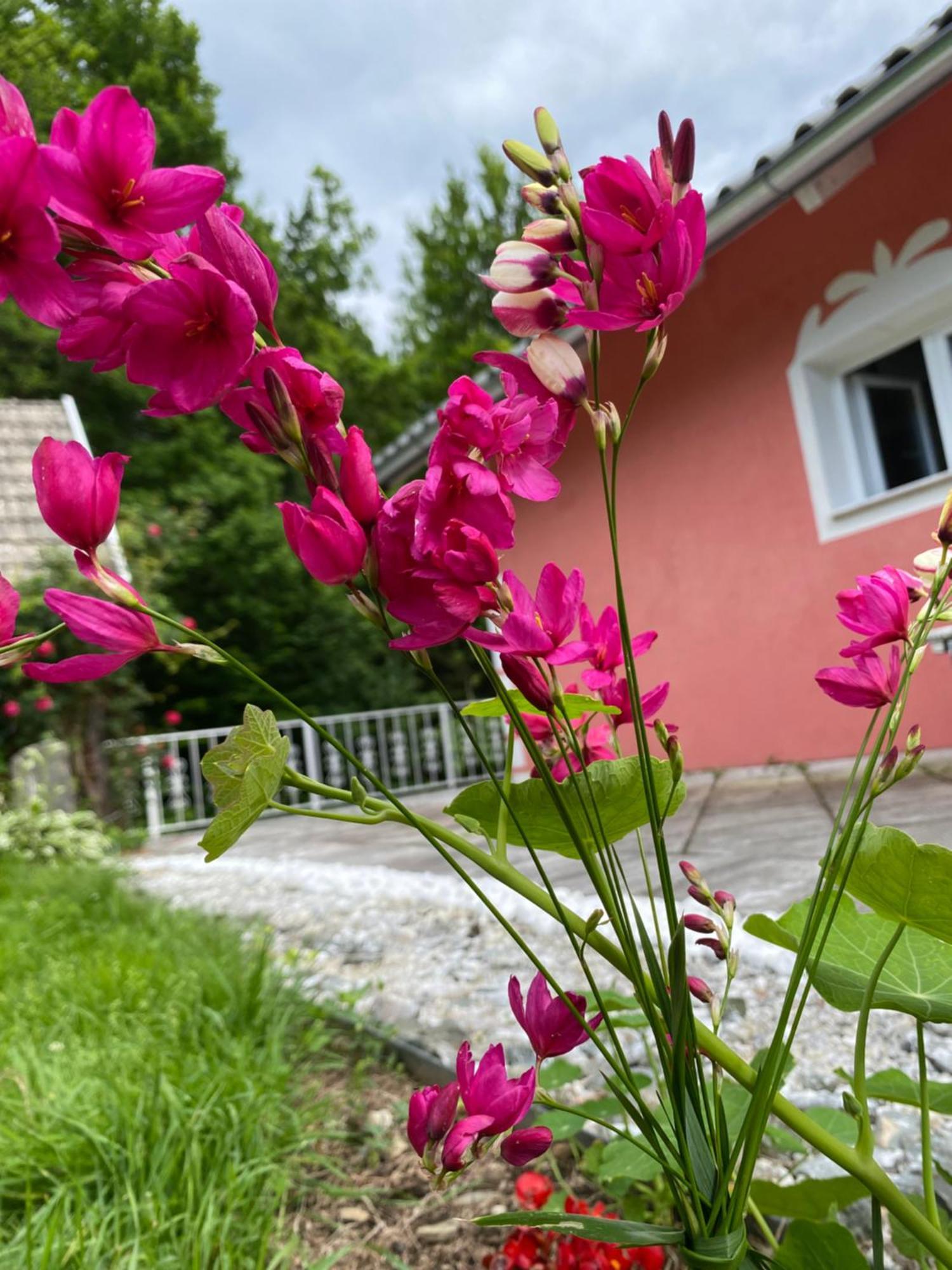 Pension Hadanig Techelsberg Exterior foto